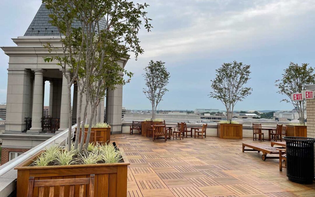 Innovative Landscape Construction Designed to Bring Your Vision to Life