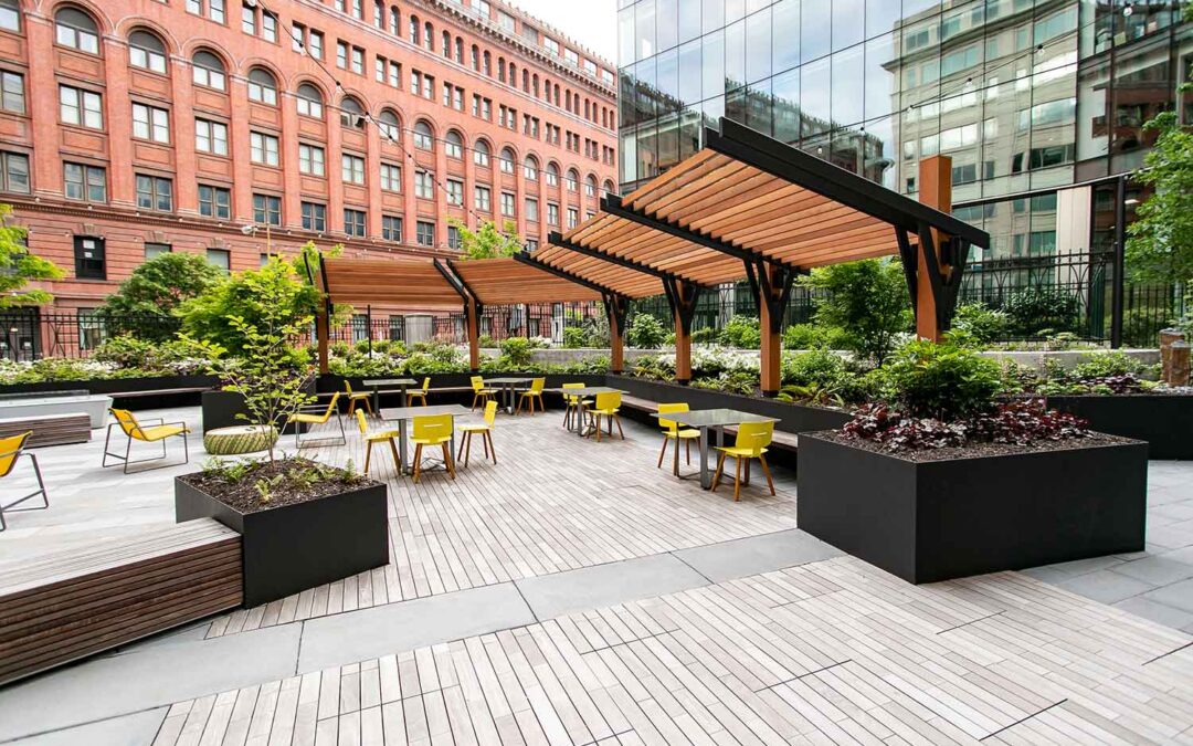 Comprehensive Landscape Maintenance Tailored to Your Property