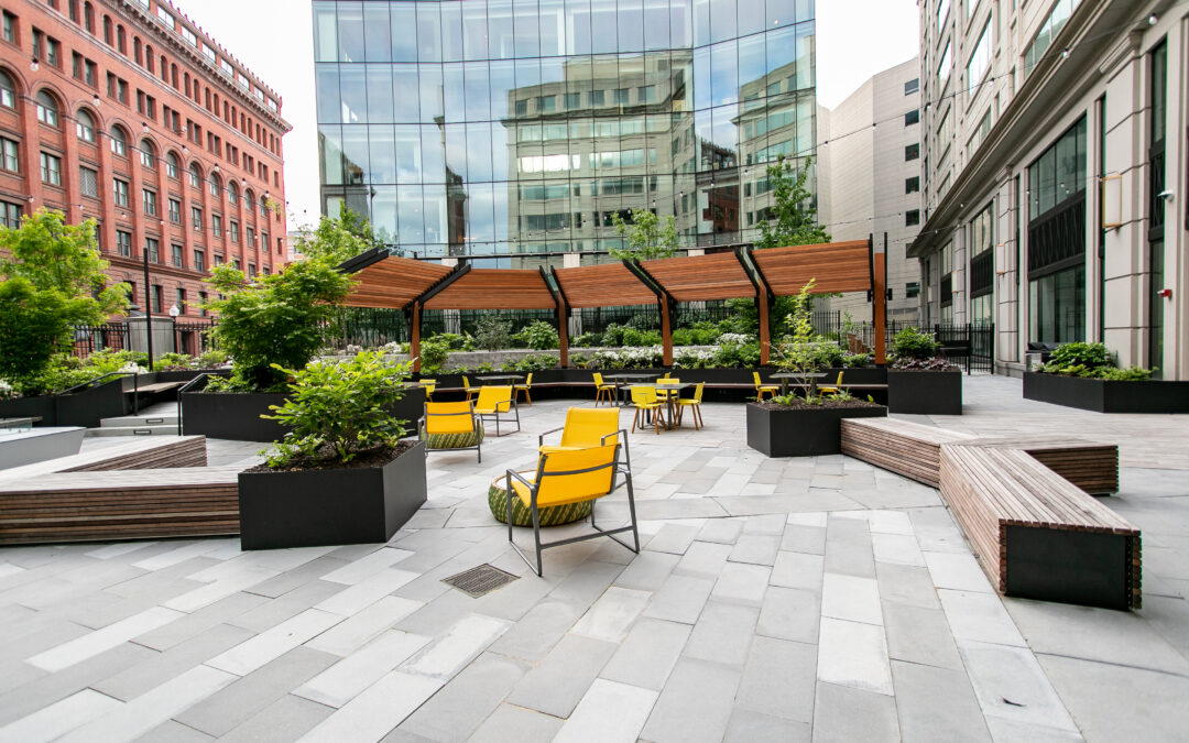 Comprehensive Landscape Maintenance Tailored to Your Property